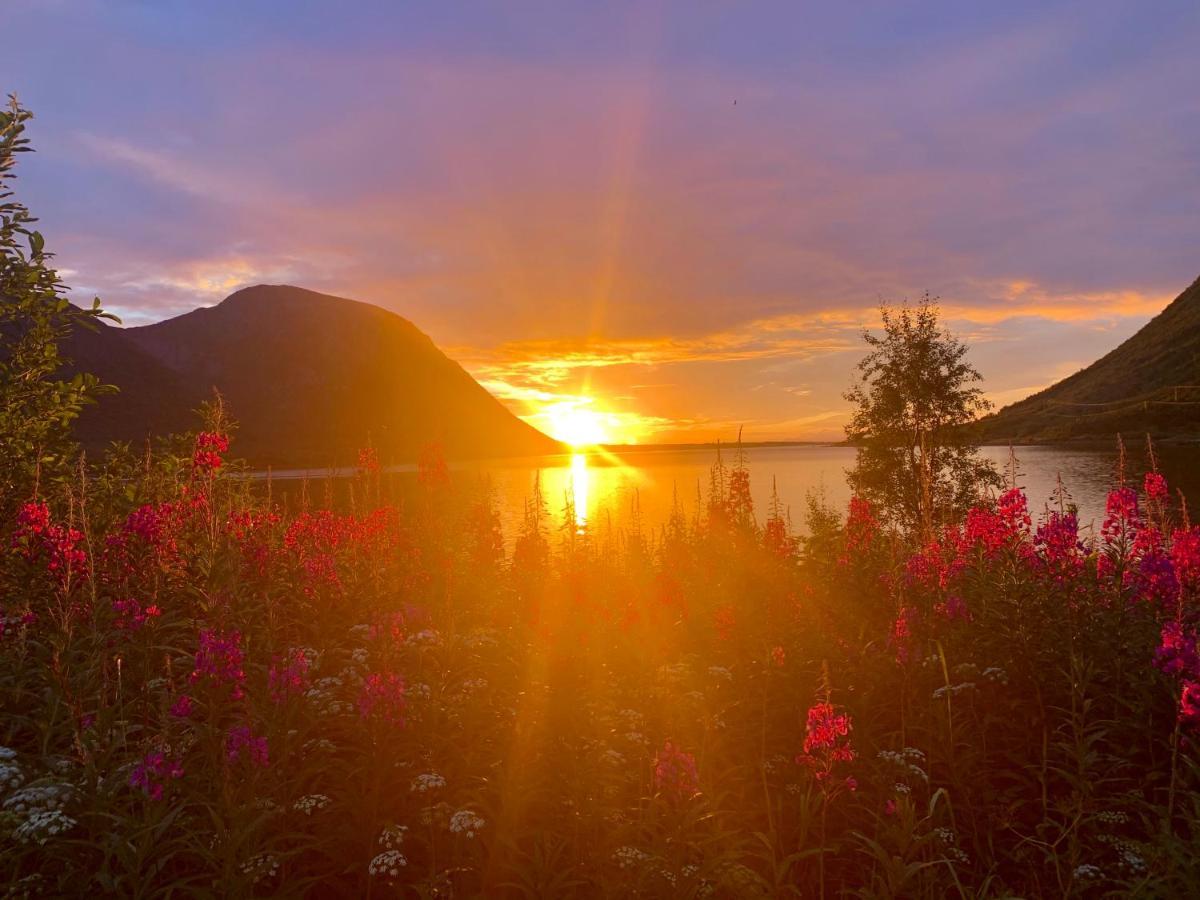 Lofoten Red Villa Laupstad Exteriör bild